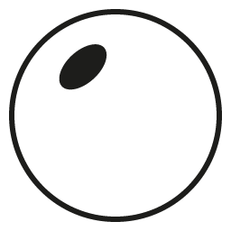 Standard Lens